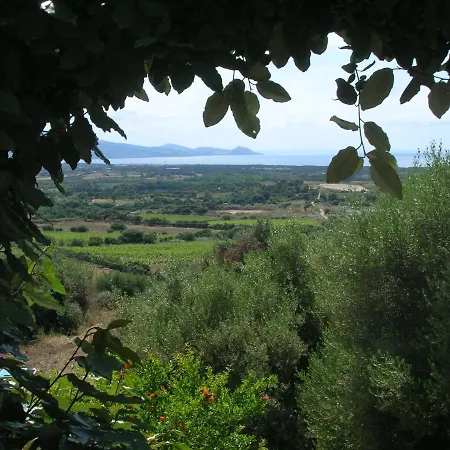 Domenica Badesi