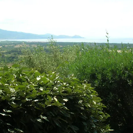 Domenica Badesi